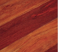 Jatoba